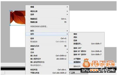 開網店之手把手教你制作寶貝圖片14