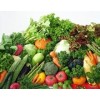 綠色蔬菜價位|最優(yōu)惠的綠色蔬菜石家莊供應(yīng)