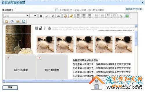 淘寶扶植版店鋪裝修—右側自定義區