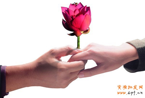 怎樣的寶貝詳情引發&ldquo;網購熱&rdquo;4