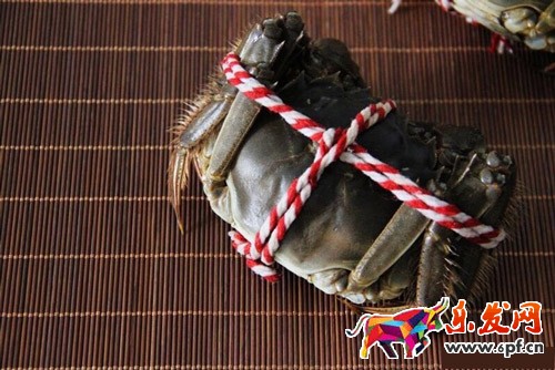 小賣家如何用手機拍出好的產品圖