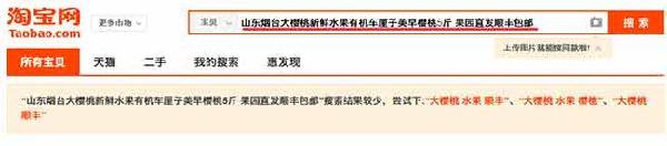 網(wǎng)店標題寫作技巧2