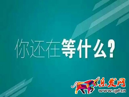 茶葉品牌茶馬世家入駐微商