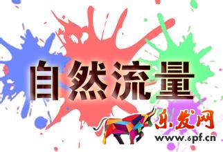 自然搜索流量 自然搜索流量