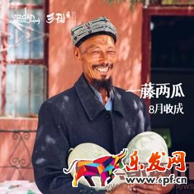 深度剖析直通車質量得分