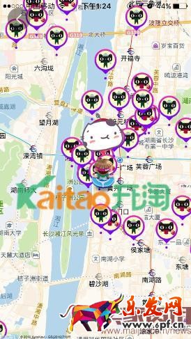 雙十一捉貓貓怎么搜索附近的貓? 雙十一捉貓貓怎么搜索附近的貓?