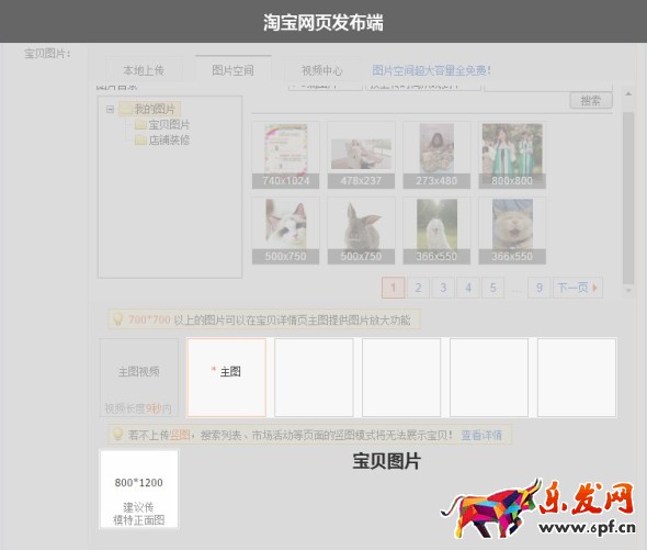 圖片護盾 圖片護盾