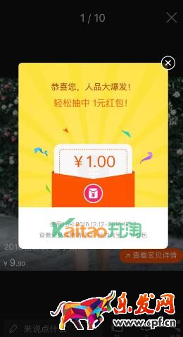 雙12親親節報名