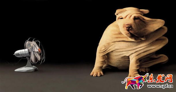 如何開好淘寶網店？運營秘籍