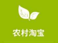 農(nóng)村淘寶運營怎么賺錢