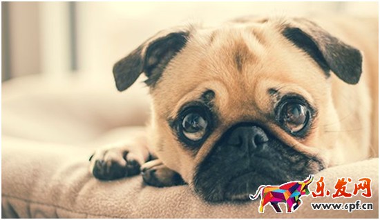 速賣通營銷技巧