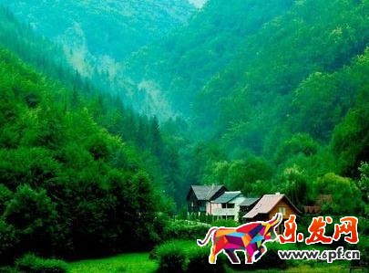 ps淘寶圖片怎么改小