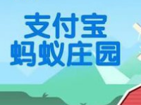 螞蟻莊園怎么防止搶食？支付寶螞蟻莊園怎么養小雞？