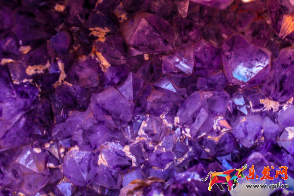 淘寶禁止發布的商品是什么，有哪些？