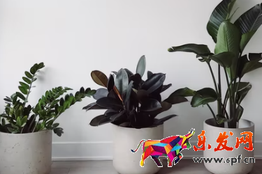 淘寶店企業(yè)店鋪開店流程是什么？要多少費(fèi)用？