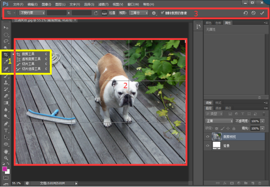 PS初級學者也能快速掌握的裁剪工具